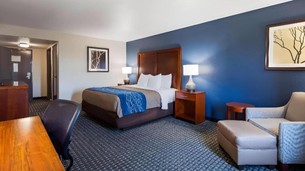 Best Western Northwest Corpus Christi Inn & Suites Buitenkant foto