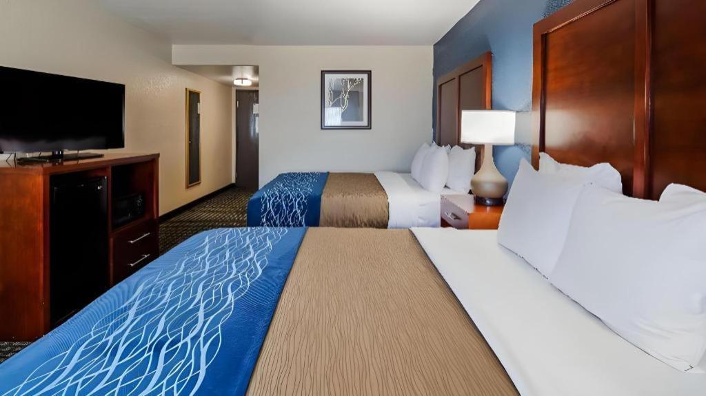 Best Western Northwest Corpus Christi Inn & Suites Buitenkant foto